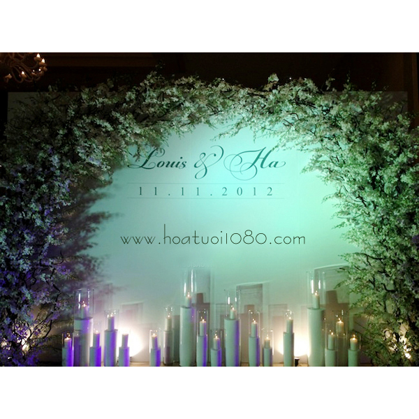 Backdrop Tăng Thanh Hà - Louis Nguyễn