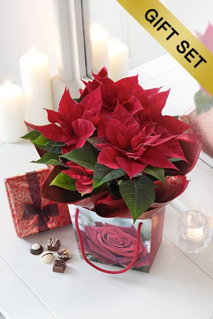 Christmas 014 Christmas 014