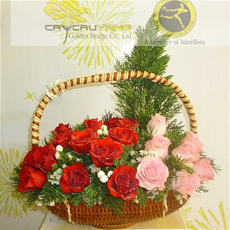 Christmas 019 Christmas 019