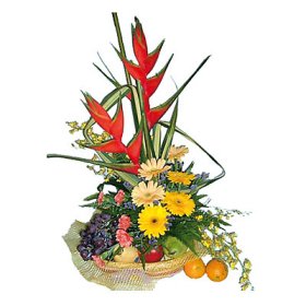 Fruits and Flowers Fruits and Flowers