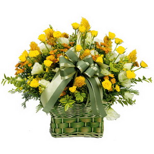 Hoa chúc mừng 003 Hoa chúc mừng 003