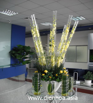 Hoa đại sảnh 002