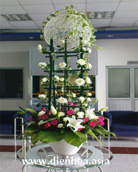 Hoa đại sảnh 007