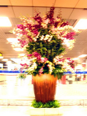 Hoa đại sảnh 013 Hoa đại sảnh 013