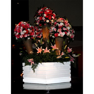 Hoa đại sảnh 015 Hoa đại sảnh 015