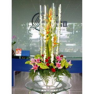 Hoa đại sảnh 003