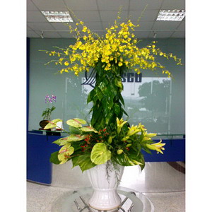 Hoa đại sảnh 012