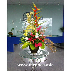 Hoa đại sảnh 006