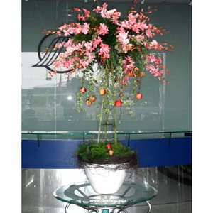 Hoa đại sảnh 010