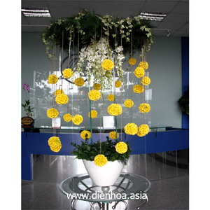 Hoa đại sảnh 001