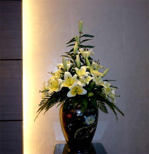 Hoa đại sảnh 019