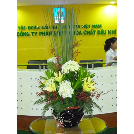 Hoa đại sảnh 025