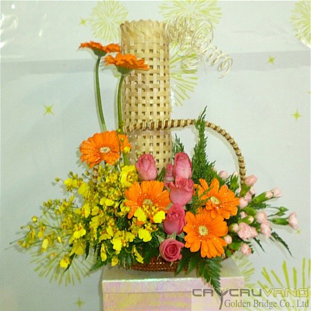 Hoa chúc mừng 019