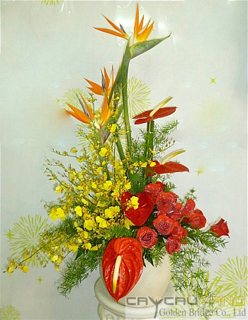 Hoa chúc mừng 020 Hoa chúc mừng 020