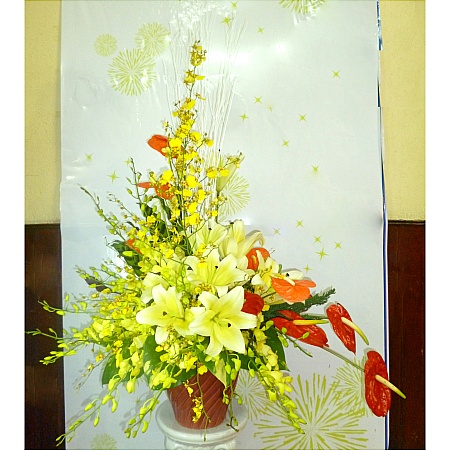 Hoa chúc mừng 021 Hoa chúc mừng 021