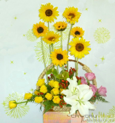 Hoa chúc mừng 025