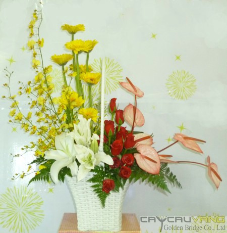 Hoa chúc mừng 022 Hoa chúc mừng 022