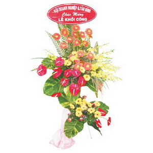 Hoa Chúc Mừng 027 Hoa Chúc Mừng 027