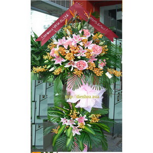 Hoa Chúc Mừng 029 Hoa Chúc Mừng 029