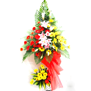 Hoa khai trương 031 Hoa khai trương 031