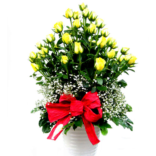 Hoa sinh nhật 036 Hoa sinh nhật 036