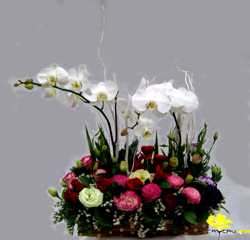 Hoa sinh nhật 038 Hoa sinh nhật 038