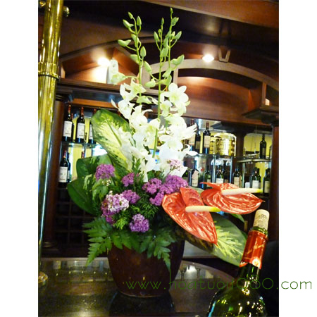 Hoa văn phòng 047 Hoa văn phòng 047