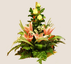 Hoa để bàn 3 Hoa để bàn 3