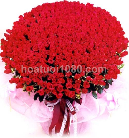 Mẫu yêu thích 041