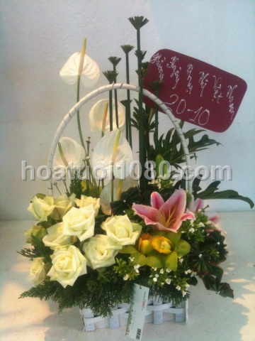 Mẫu yêu thích 053