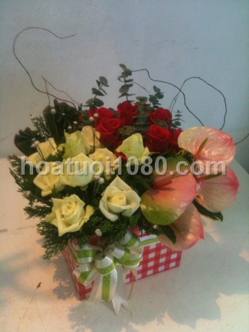 Mẫu yêu thích 055