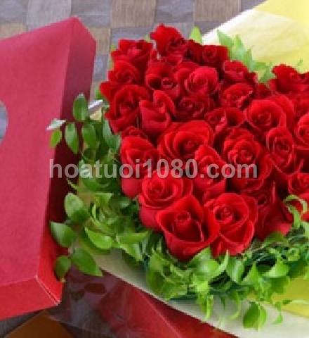 Mẫu yêu thích 056 Mẫu yêu thích 056