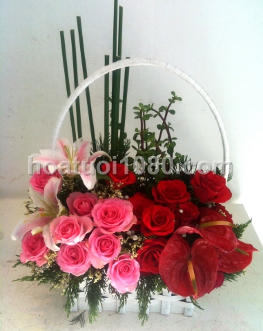 Mẫu yêu thích 057