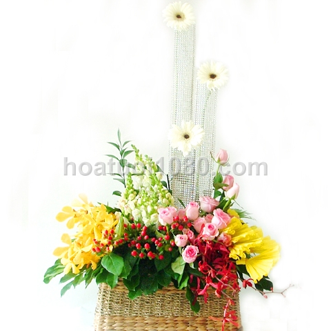 Mẫu yêu thích 033