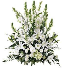 Morning Stars Arrangement