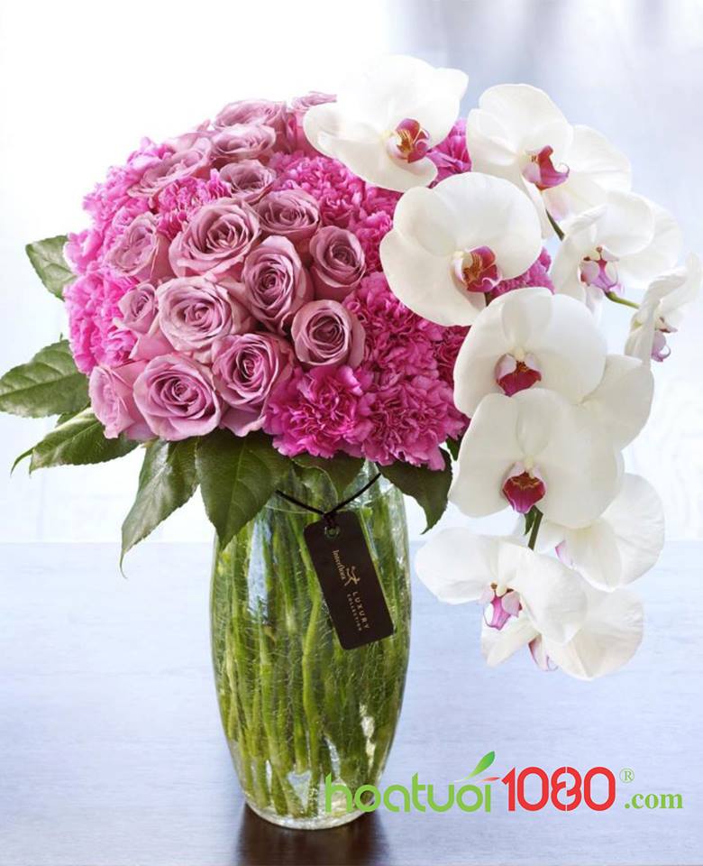 Duyên Dáng Phụ Nữ 600 Duyên Dáng Phụ Nữ 600