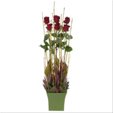Pot with 6 Red Roses