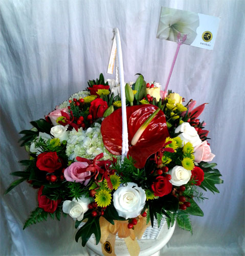 Quốc tế Phụ nữ 044