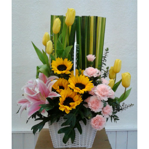 Quốc tế Phụ nữ 064