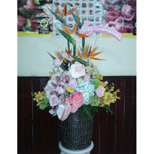 Quốc tế phụ nữ 053