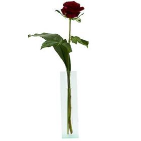 Single Flower Presentation Single Flower Presentation