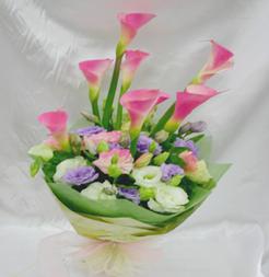 Taiwan 015 Taiwan 015