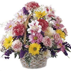 The FTD Basket of Cheer Bouquet Intercat The FTD Basket of Cheer Bouquet Intercat