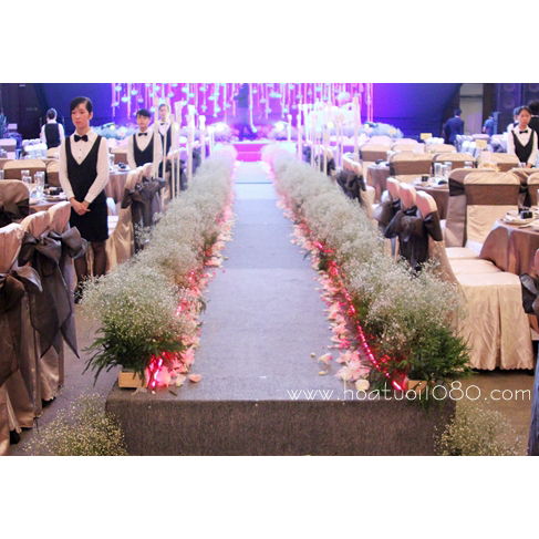 Trang trí lối đi 012