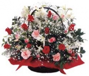 Arrangement of Christmas (red and white)