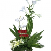 Arrangement of Cut Flowers