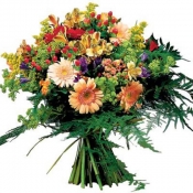 Bouquet of Seasonal Cut Flowers