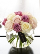 Luxury 004