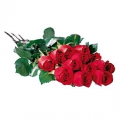 One Dozen Boxed Roses
