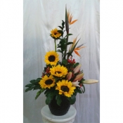 Quốc tế Phụ nữ 048